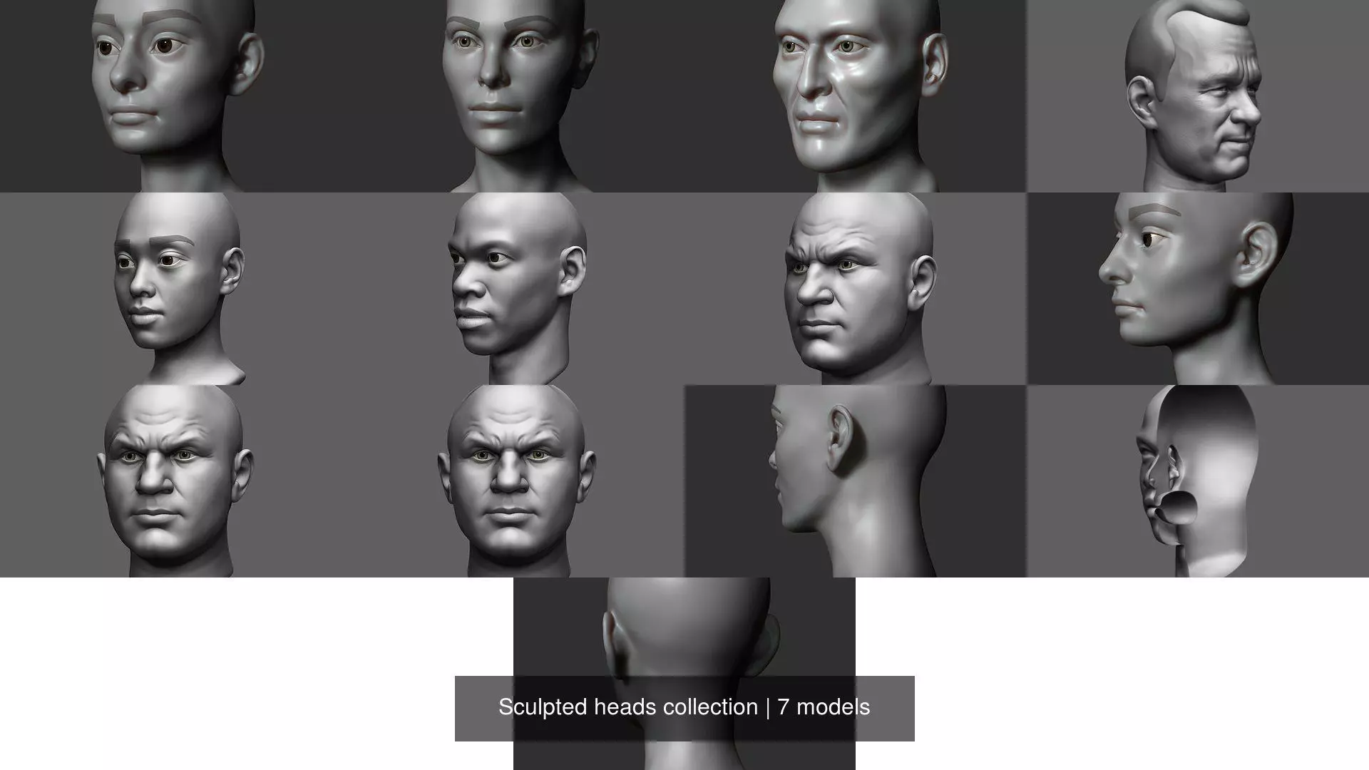 Sculpted heads collection _0