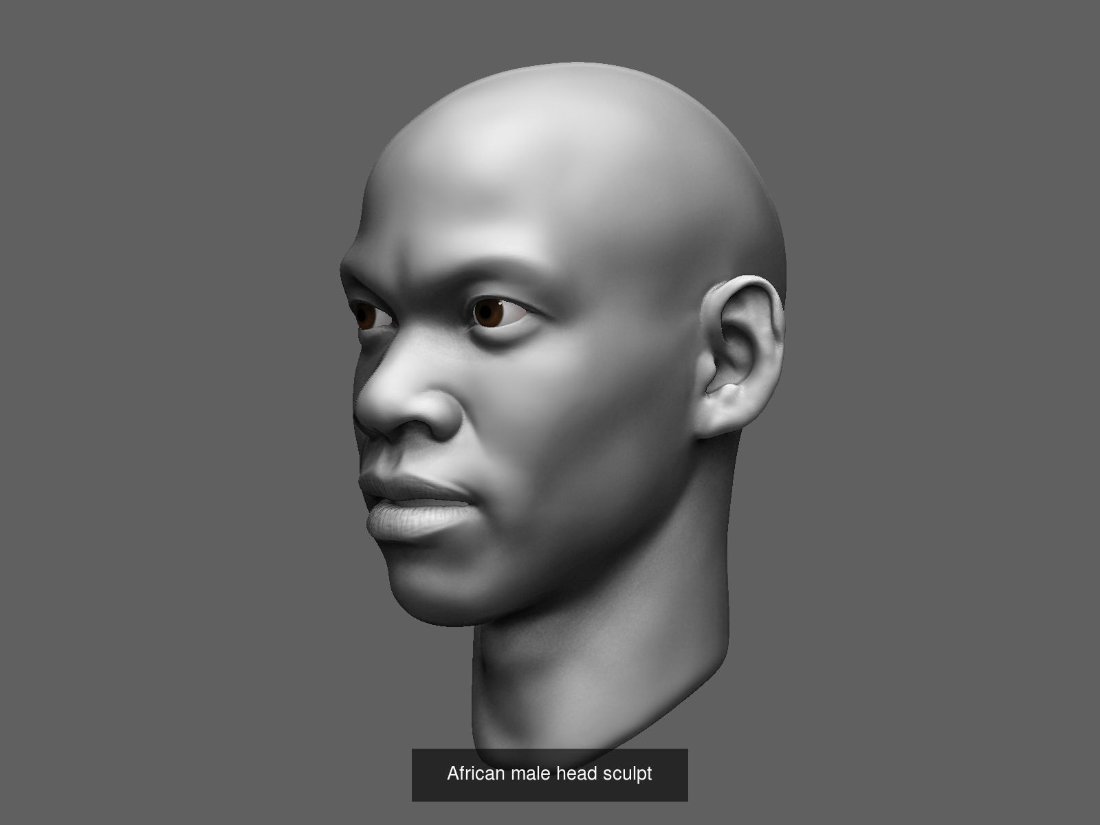 Sculpted heads collection _11