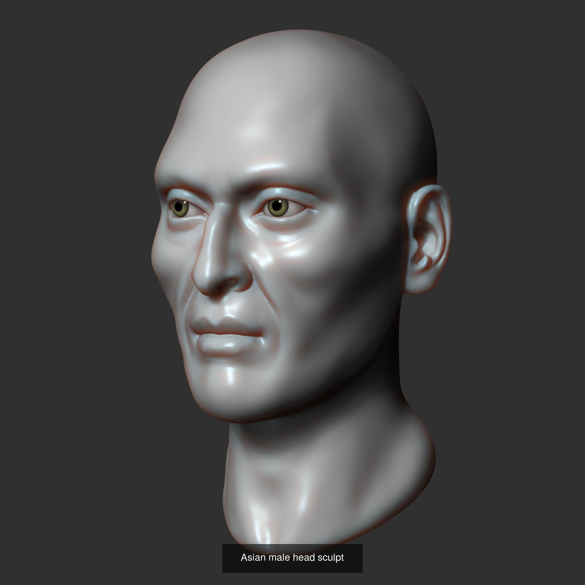 Sculpted heads collection _12