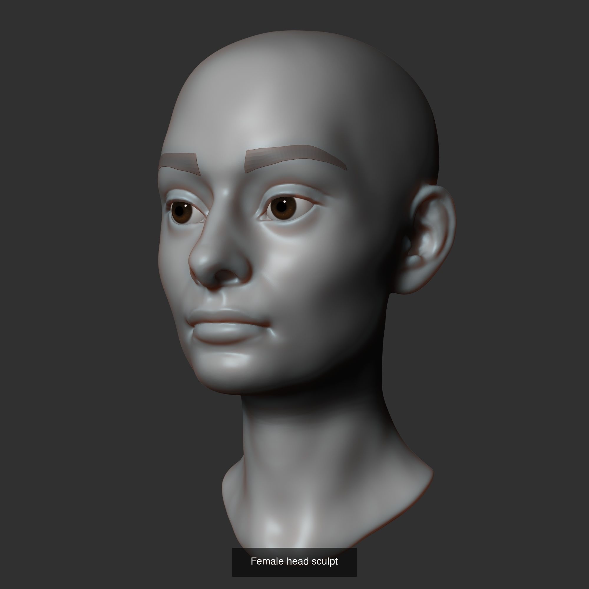 Sculpted heads collection _13