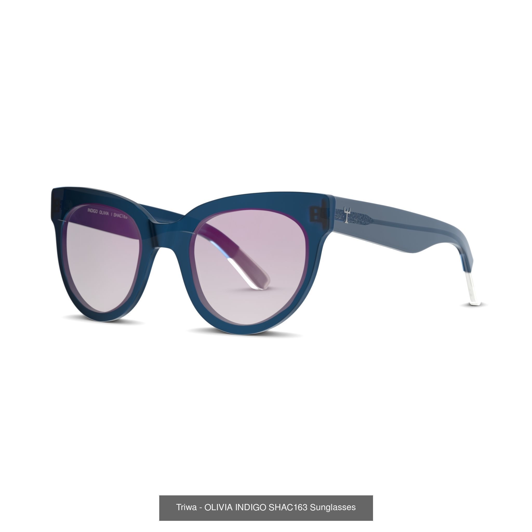 COLLECTION-5 OF SUNGLASSES - 75 models  _33