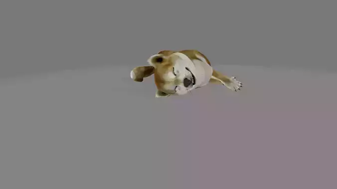 animated shiba inu dog