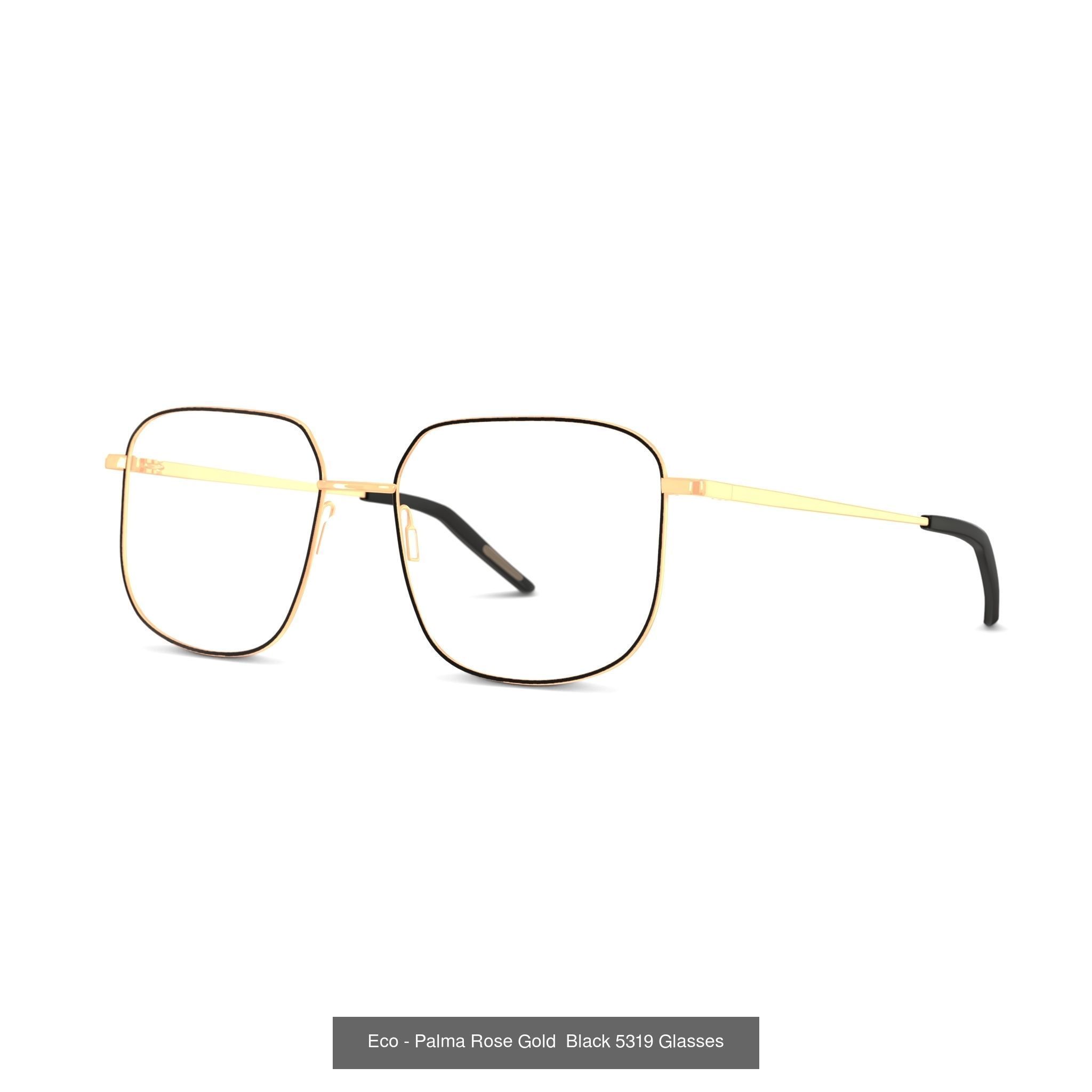 COLLECTION-8 OF SUNGLASSES - 75 models  _68
