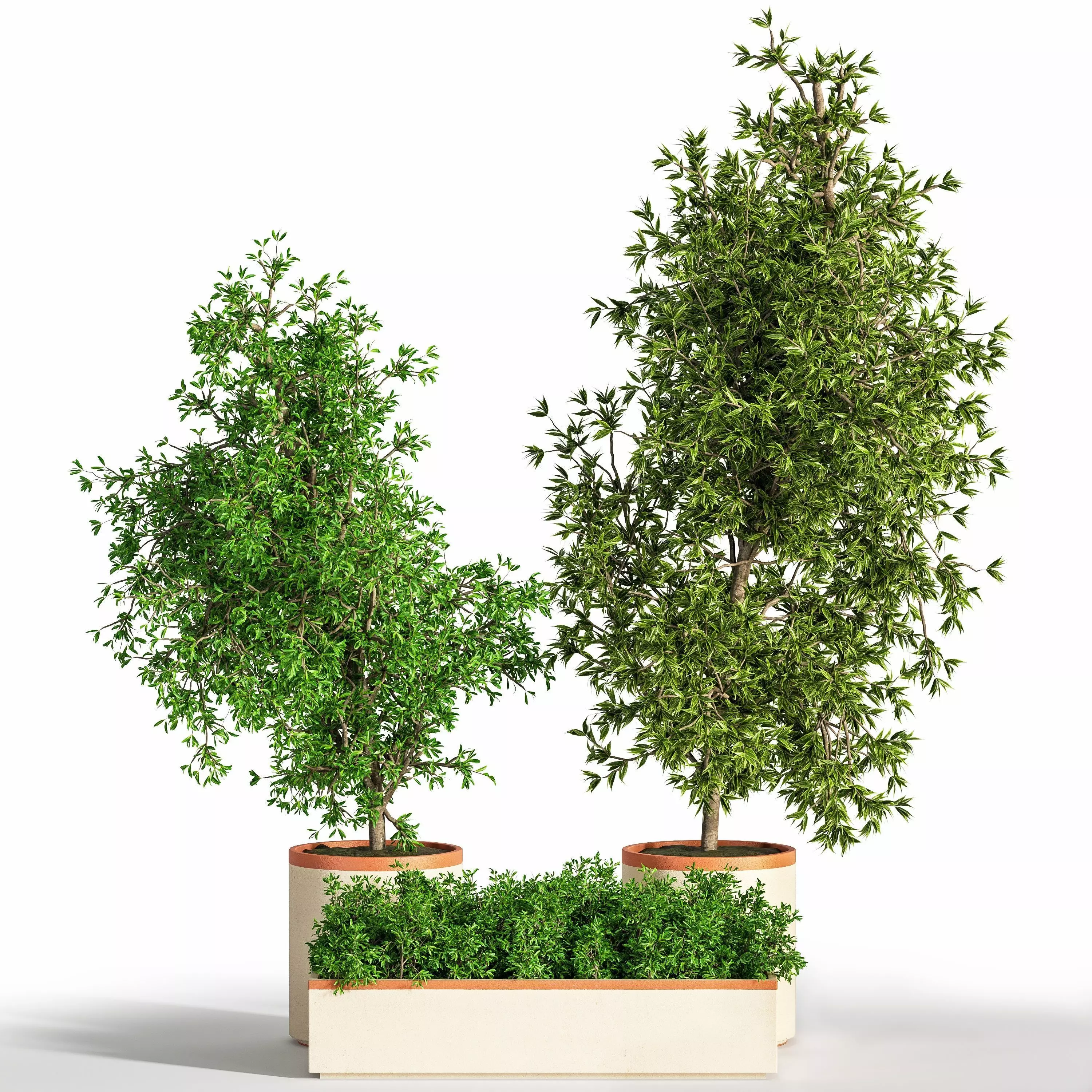 Indoor Plant Set 27 3D model