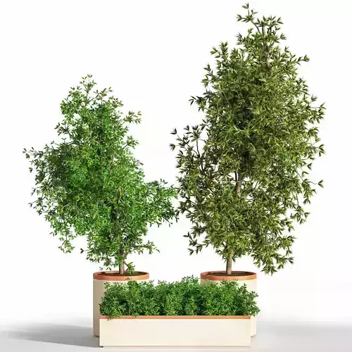 Indoor Plant Set 27