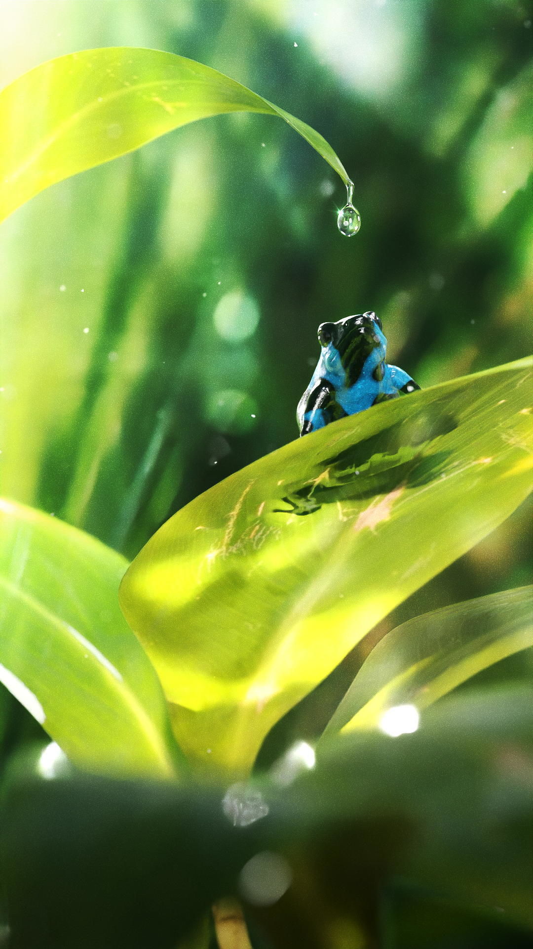 Dart Frog Low-poly 3D model_3