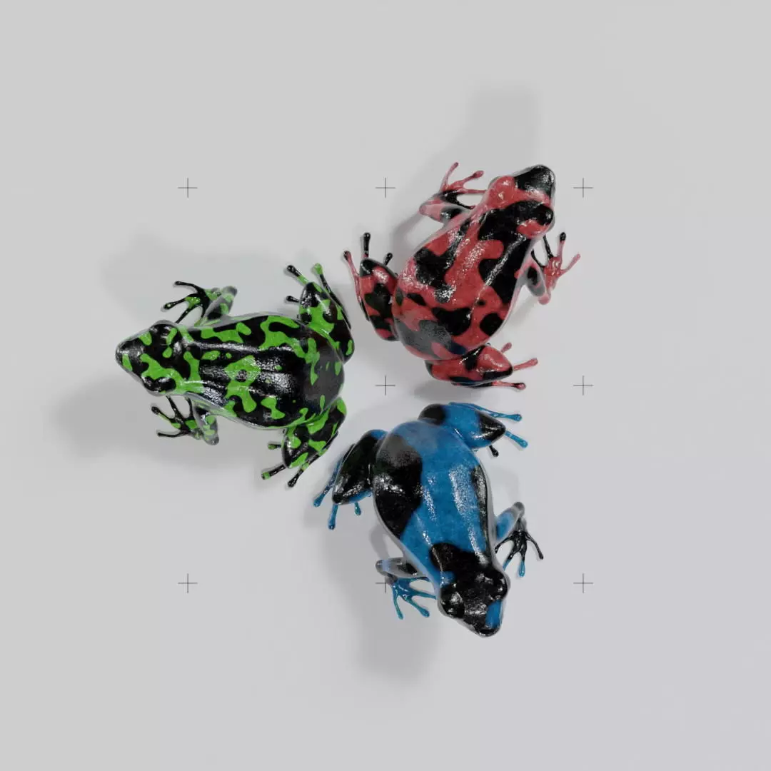 Dart Frog Low-poly 3D model_0