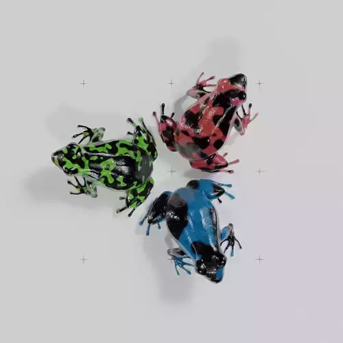 Dart Frog Low-poly 3D model