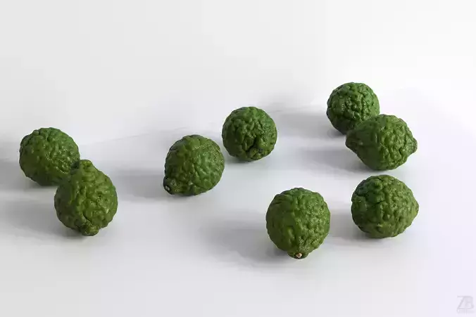 Lime  3D model
