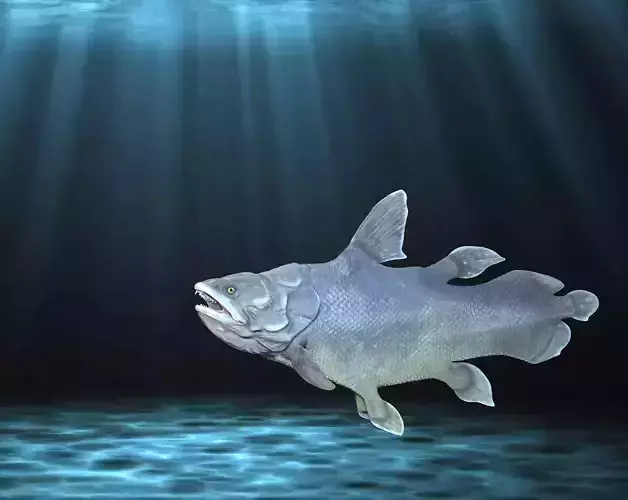 Coelacanth  Latimeria fish 3D print model