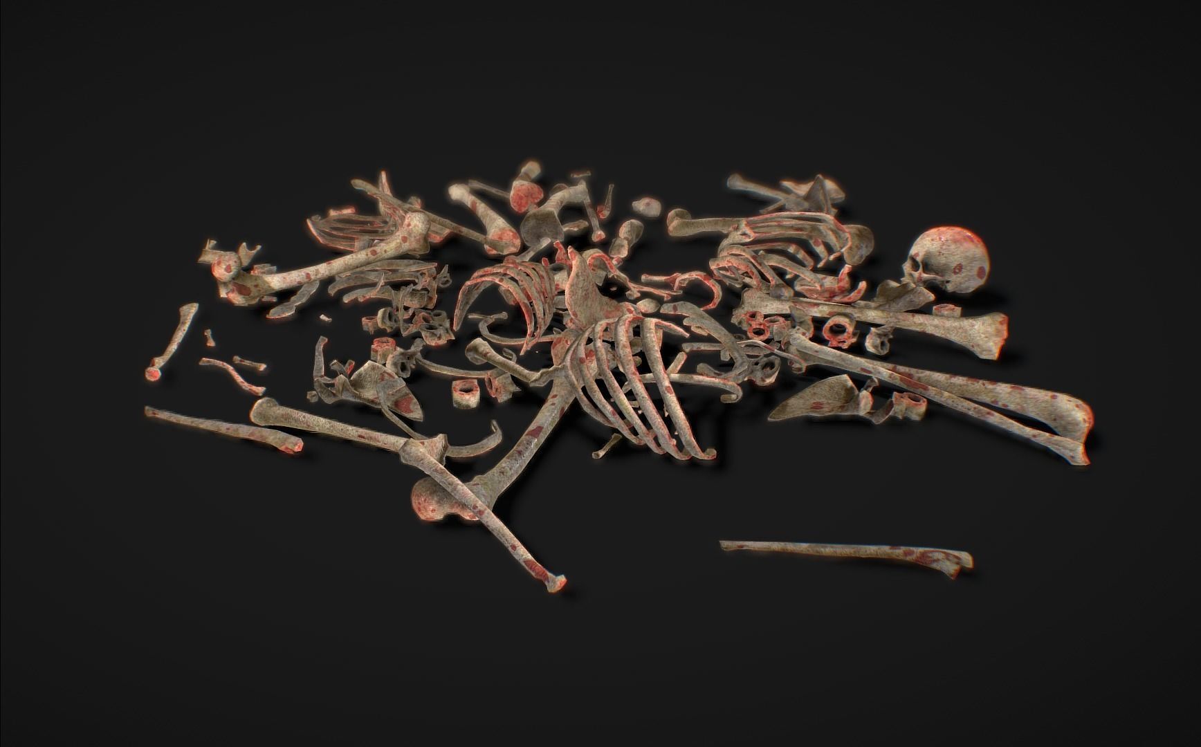Skull Bones Remains Skeletons skulls Low-poly 3D model_1