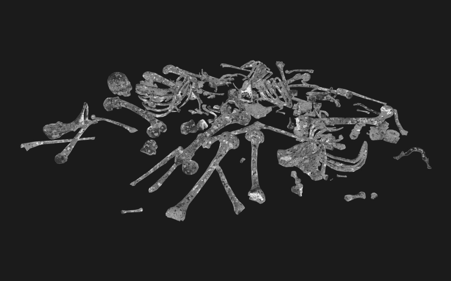 Skull Bones Remains Skeletons skulls Low-poly 3D model_5