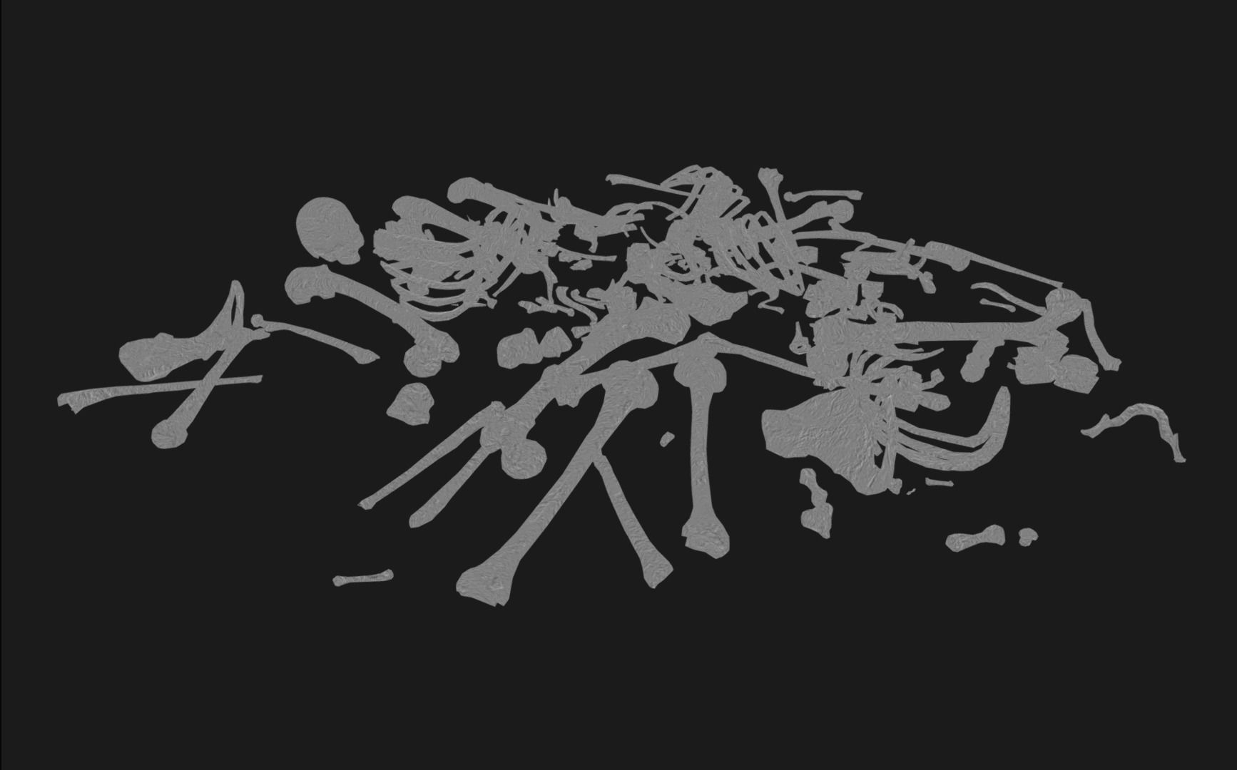 Skull Bones Remains Skeletons skulls Low-poly 3D model_8