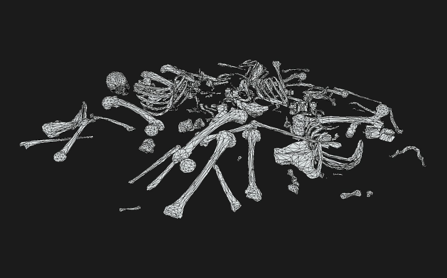 Skull Bones Remains Skeletons skulls Low-poly 3D model_7