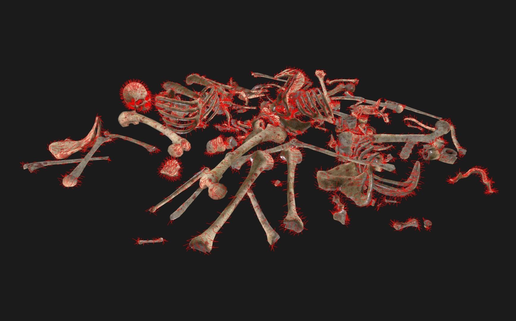 Skull Bones Remains Skeletons skulls Low-poly 3D model_4