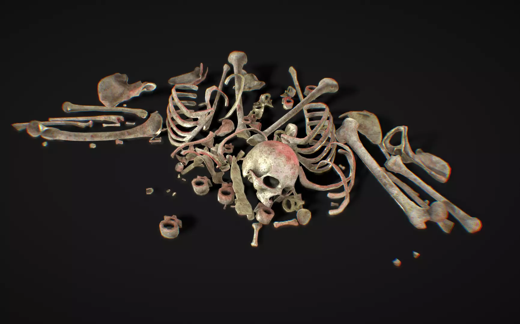 Bones Remains Skeletons skulls  3D model_0