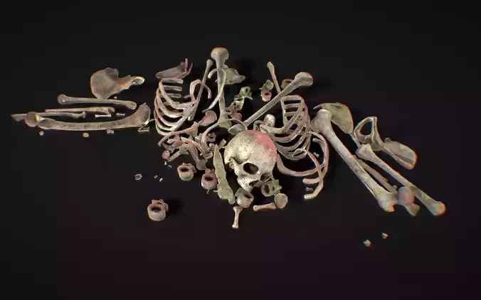 Bones Remains Skeletons skulls  3D model