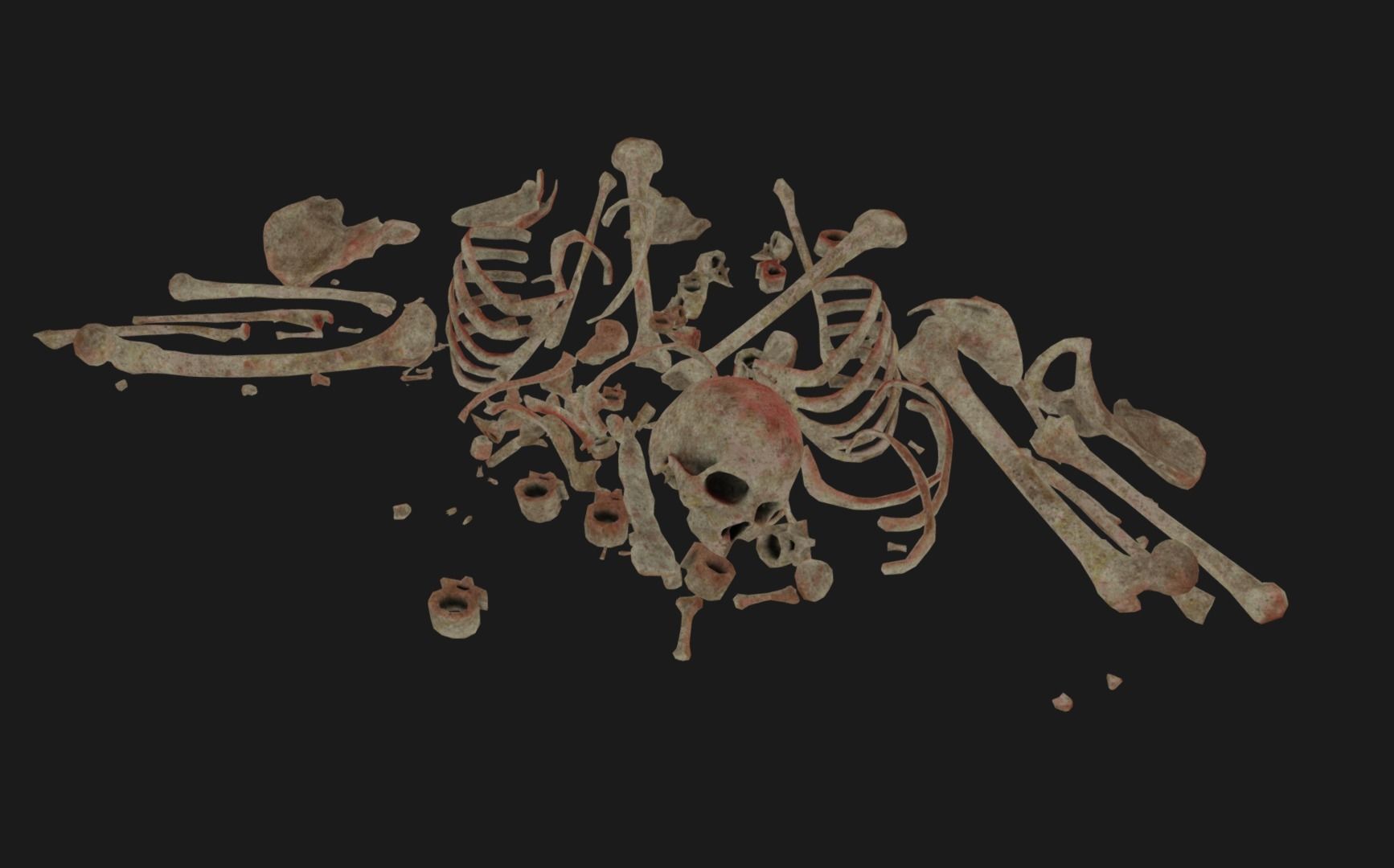 Bones Remains Skeletons skulls  3D model_3