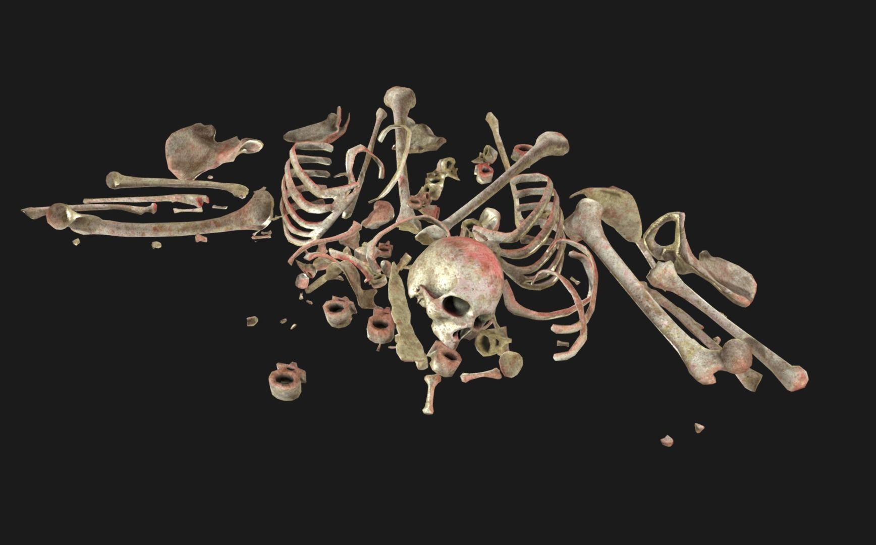 Bones Remains Skeletons skulls  3D model_2