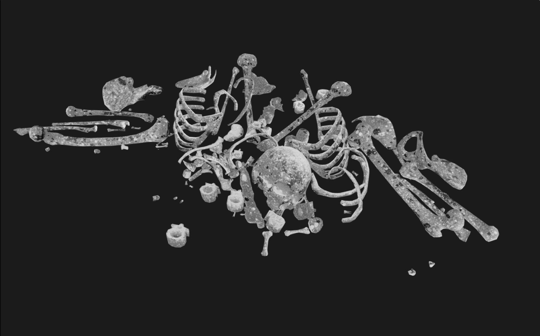 Bones Remains Skeletons skulls  3D model_4