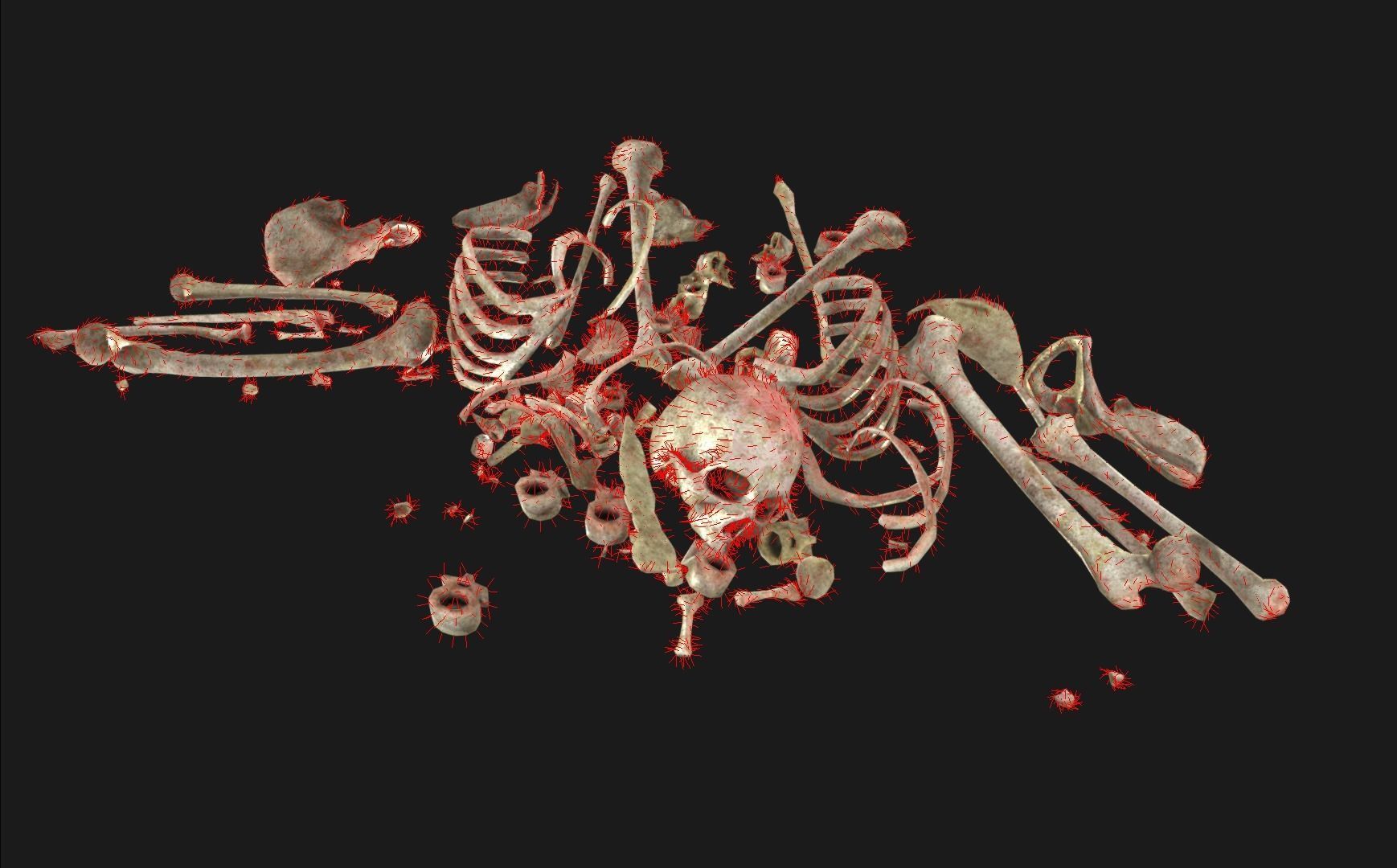 Bones Remains Skeletons skulls  3D model_1