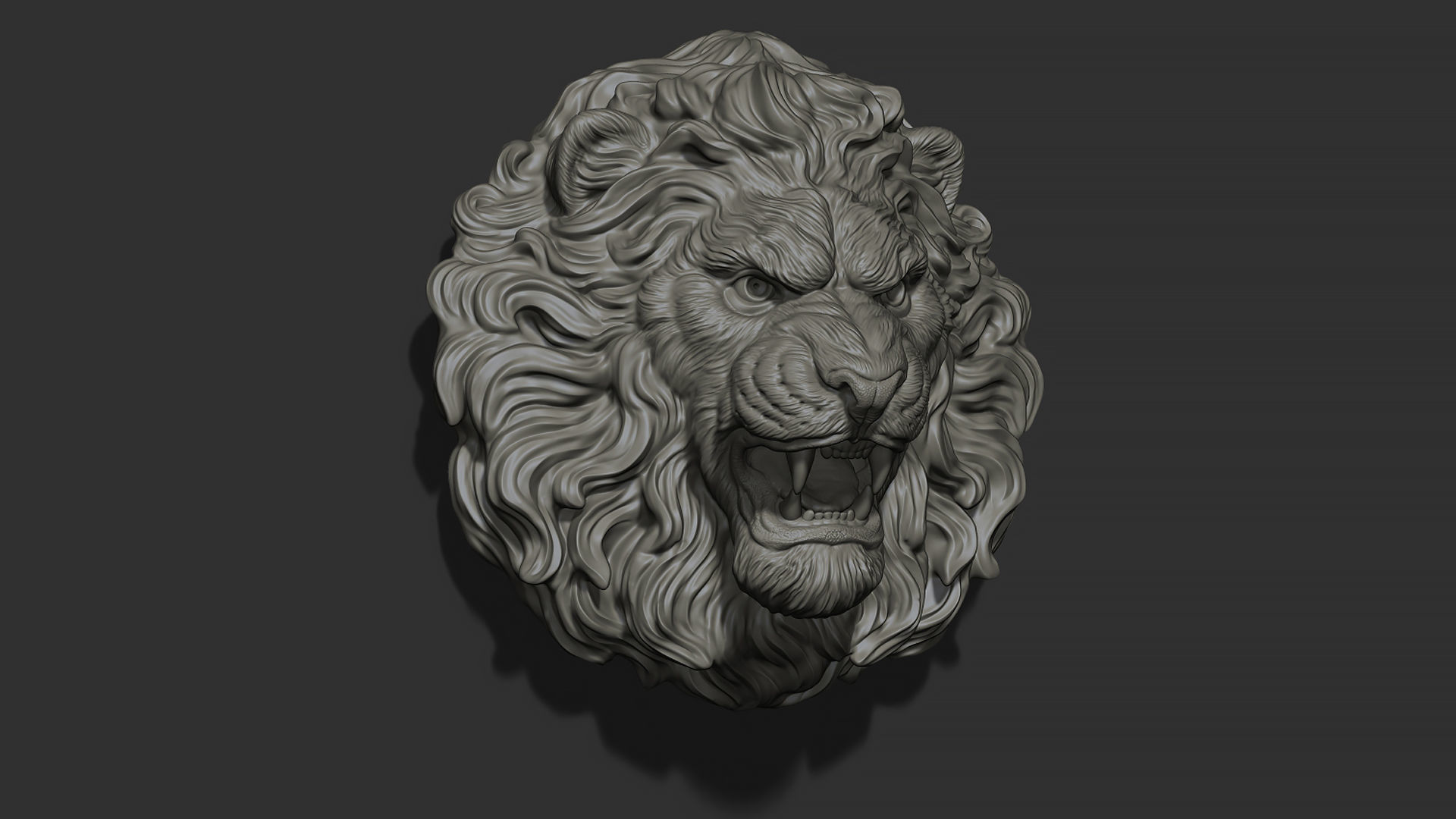Lion head 3D print model_16