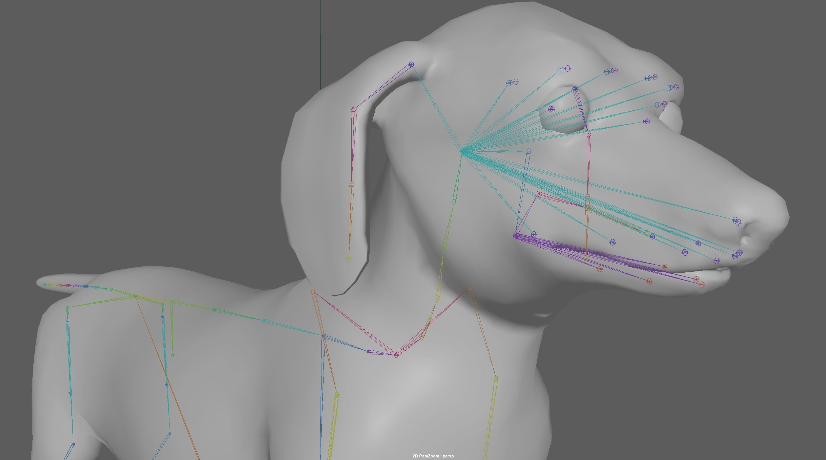 Dachshund Dog 3D model_16