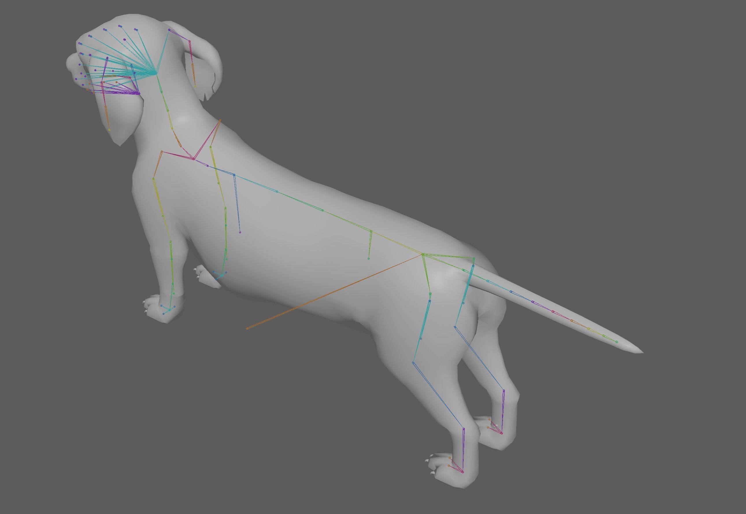 Dachshund Dog 3D model_9