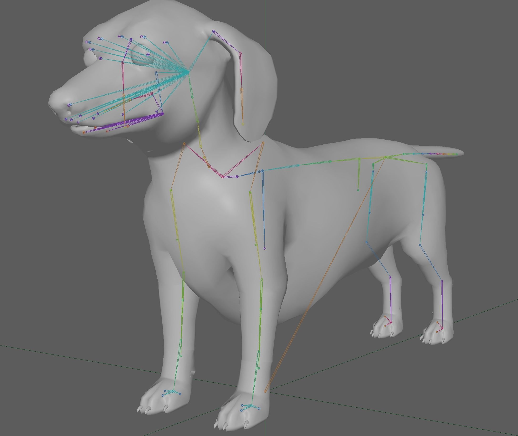 Dachshund Dog 3D model_21