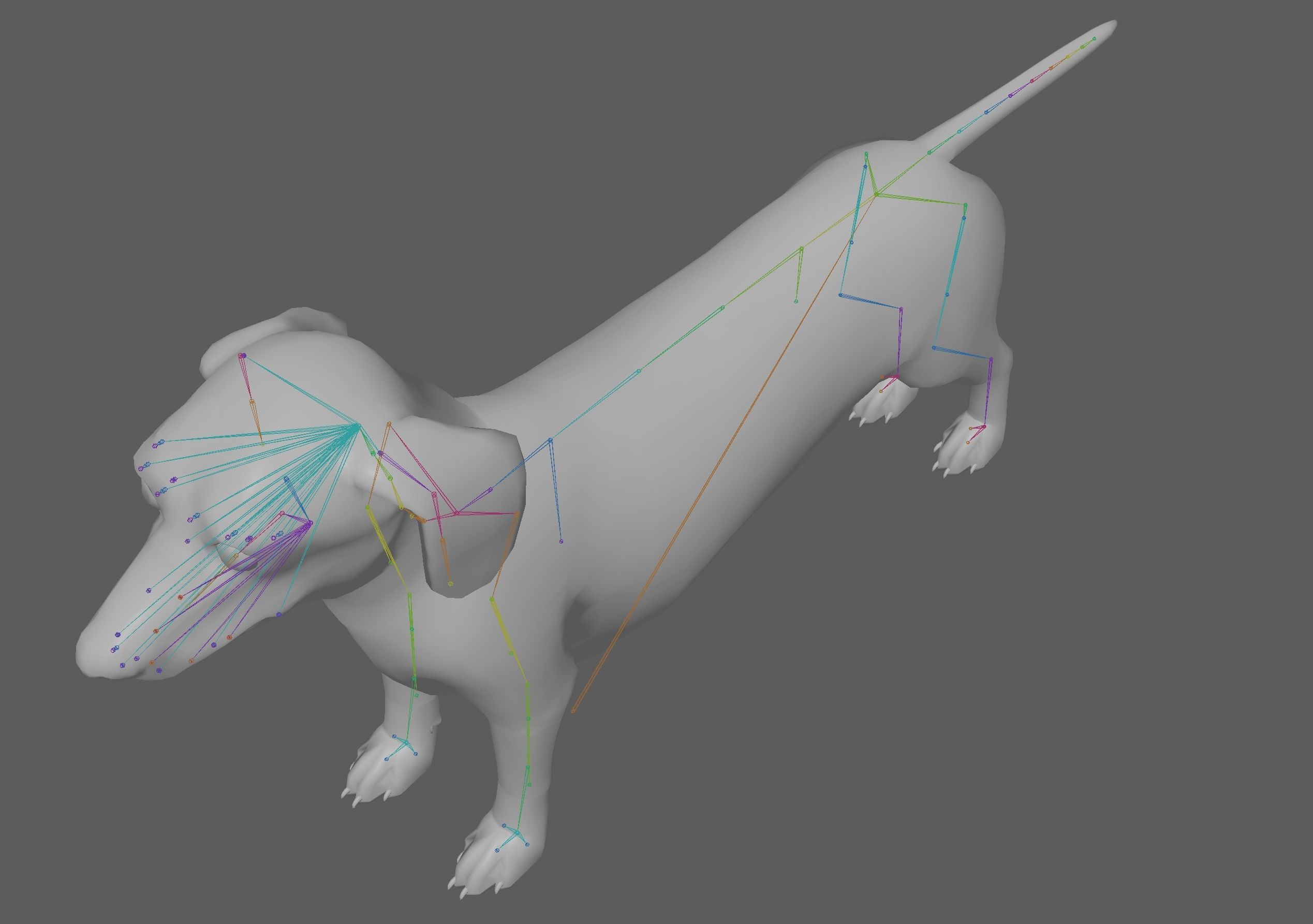 Dachshund Dog 3D model_12
