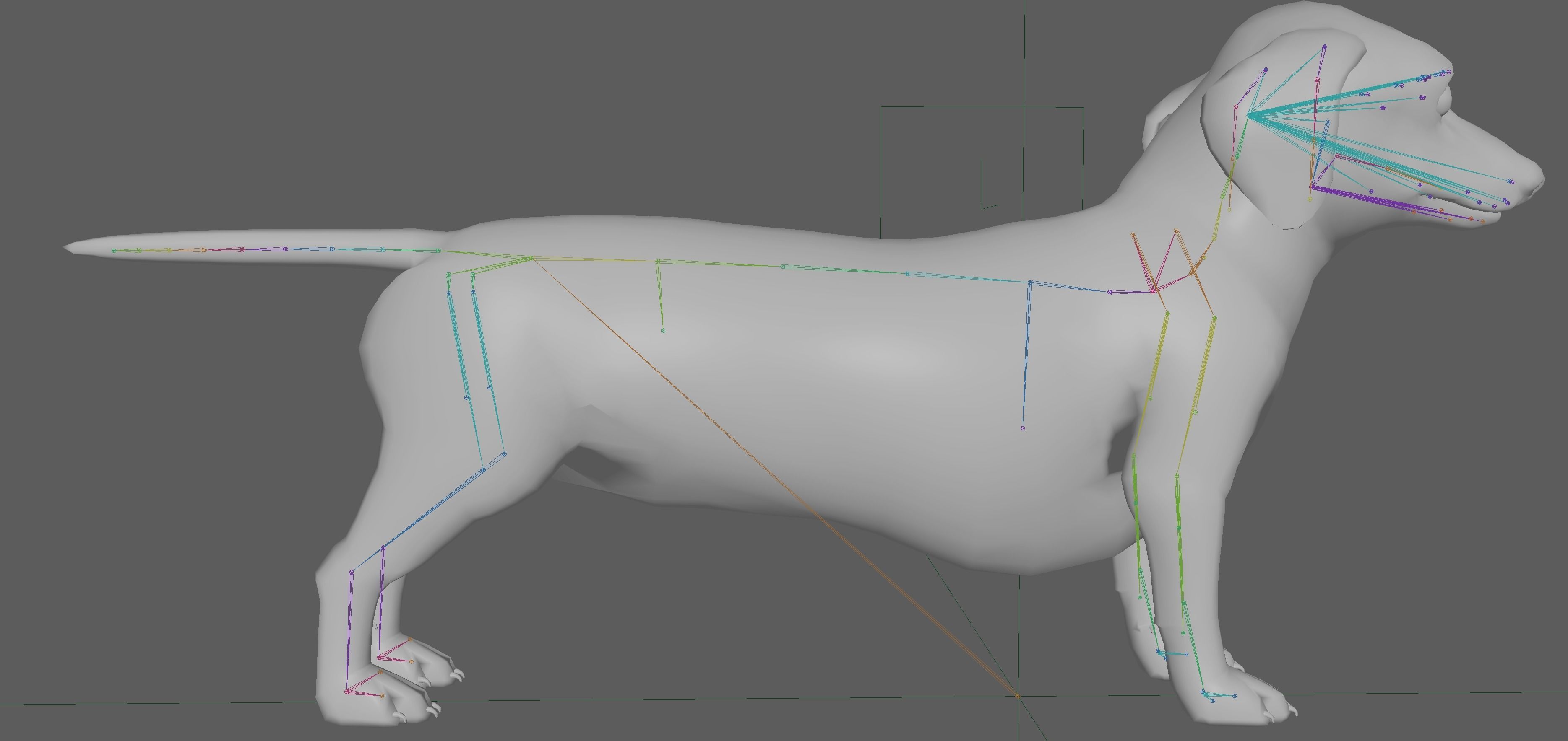 Dachshund Dog 3D model_8