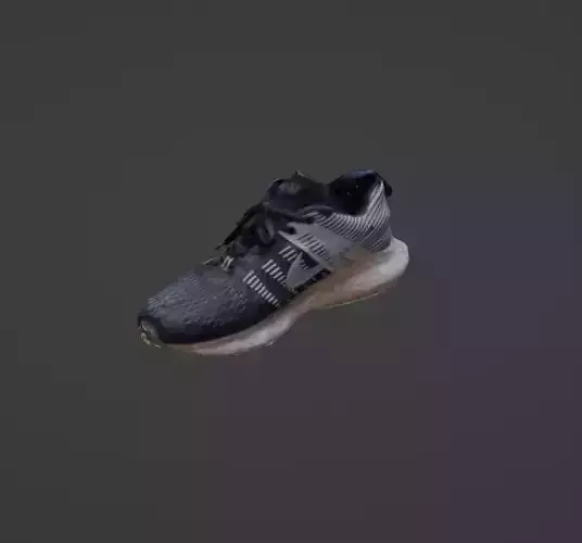 3d Scan of Shoe