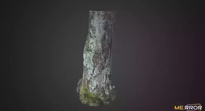 Game Ready Moss Tree Trunk