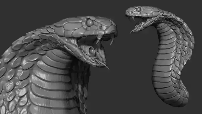 Snake cobra 3D print model