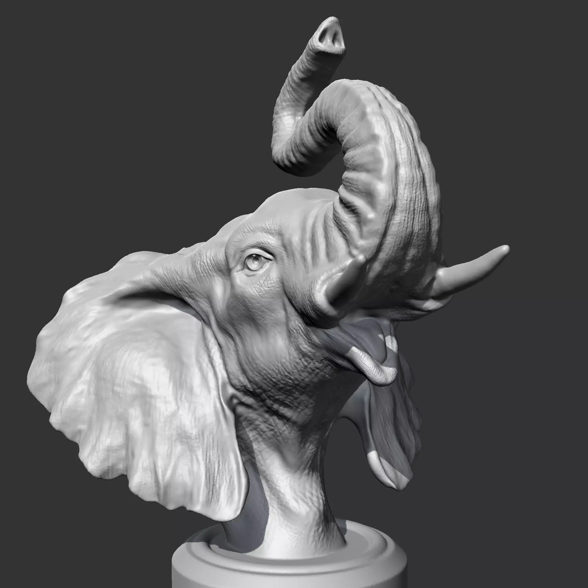 Elephant Head AM05 3D print model 3D print model