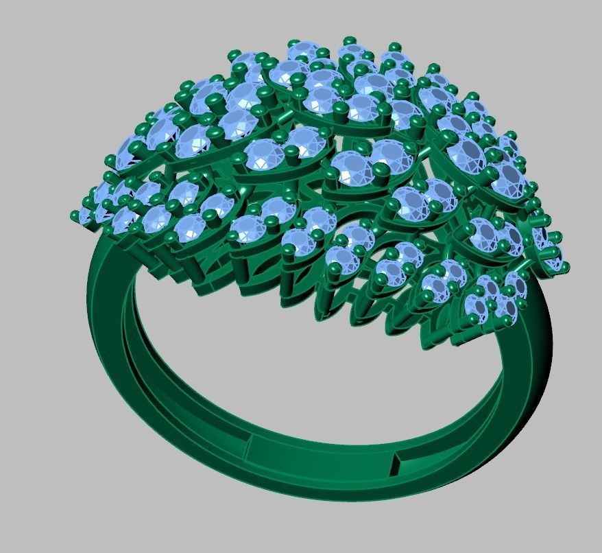 Ring 3D model 0258 3D printable model -14 3D print model_13