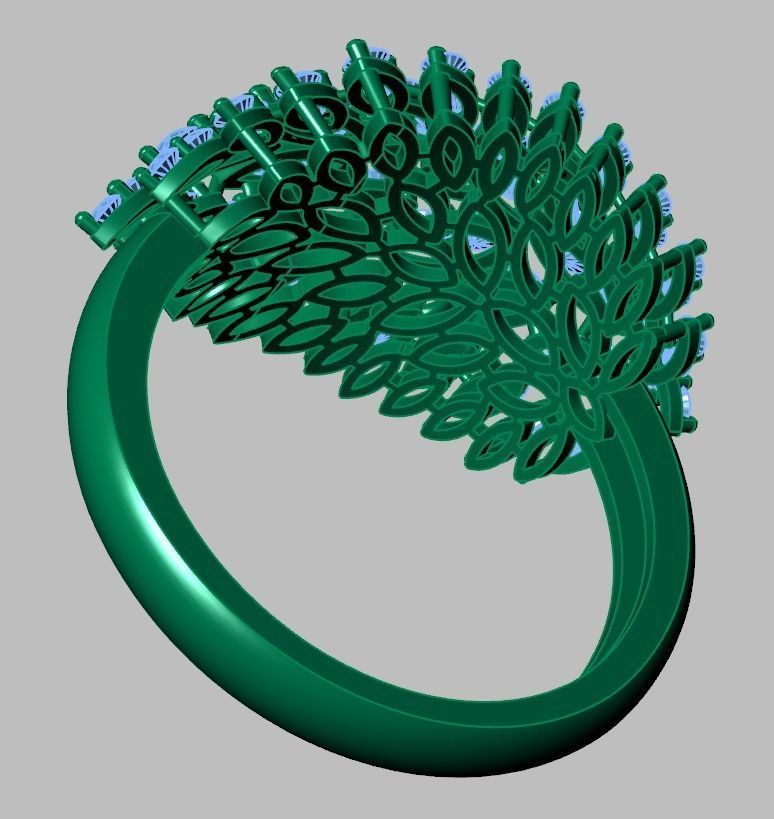 Ring 3D model 0258 3D printable model -14 3D print model_14