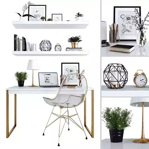 Workplace desk with bookshelves and chair