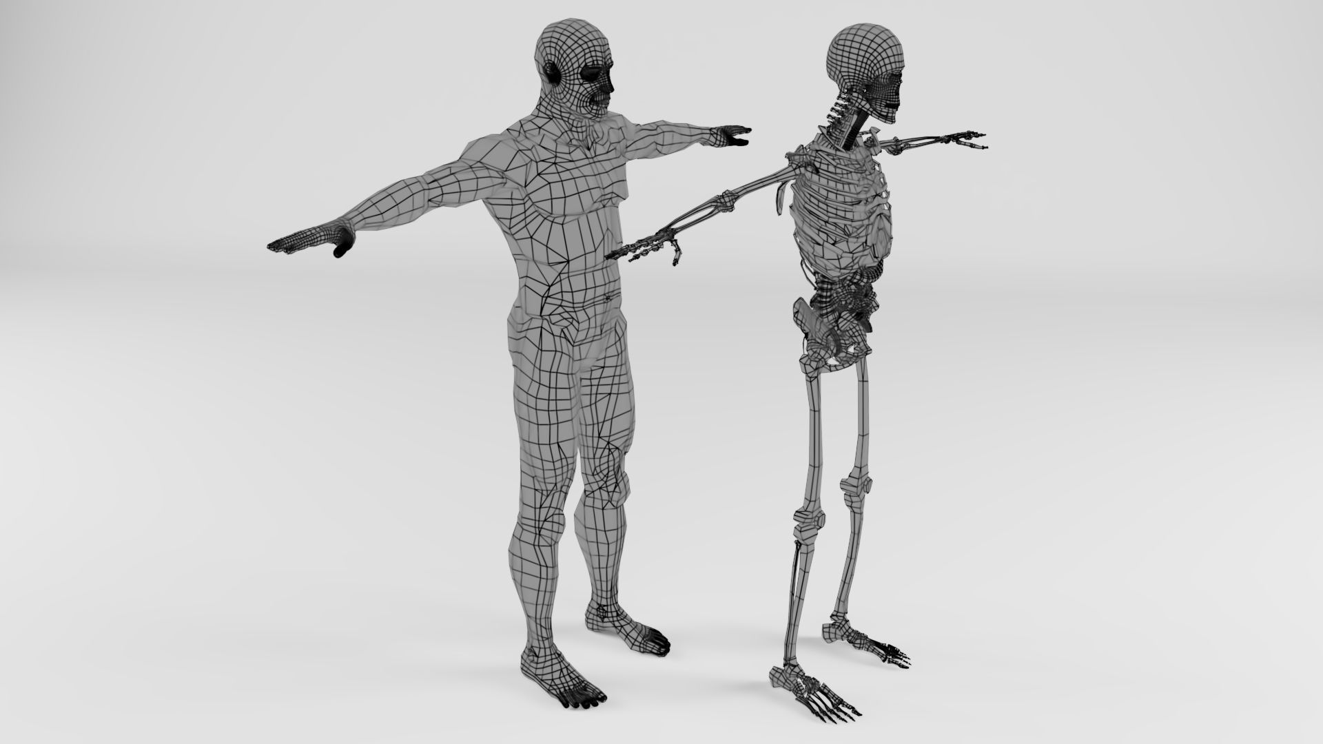  Human Respiratory System 3D model_6