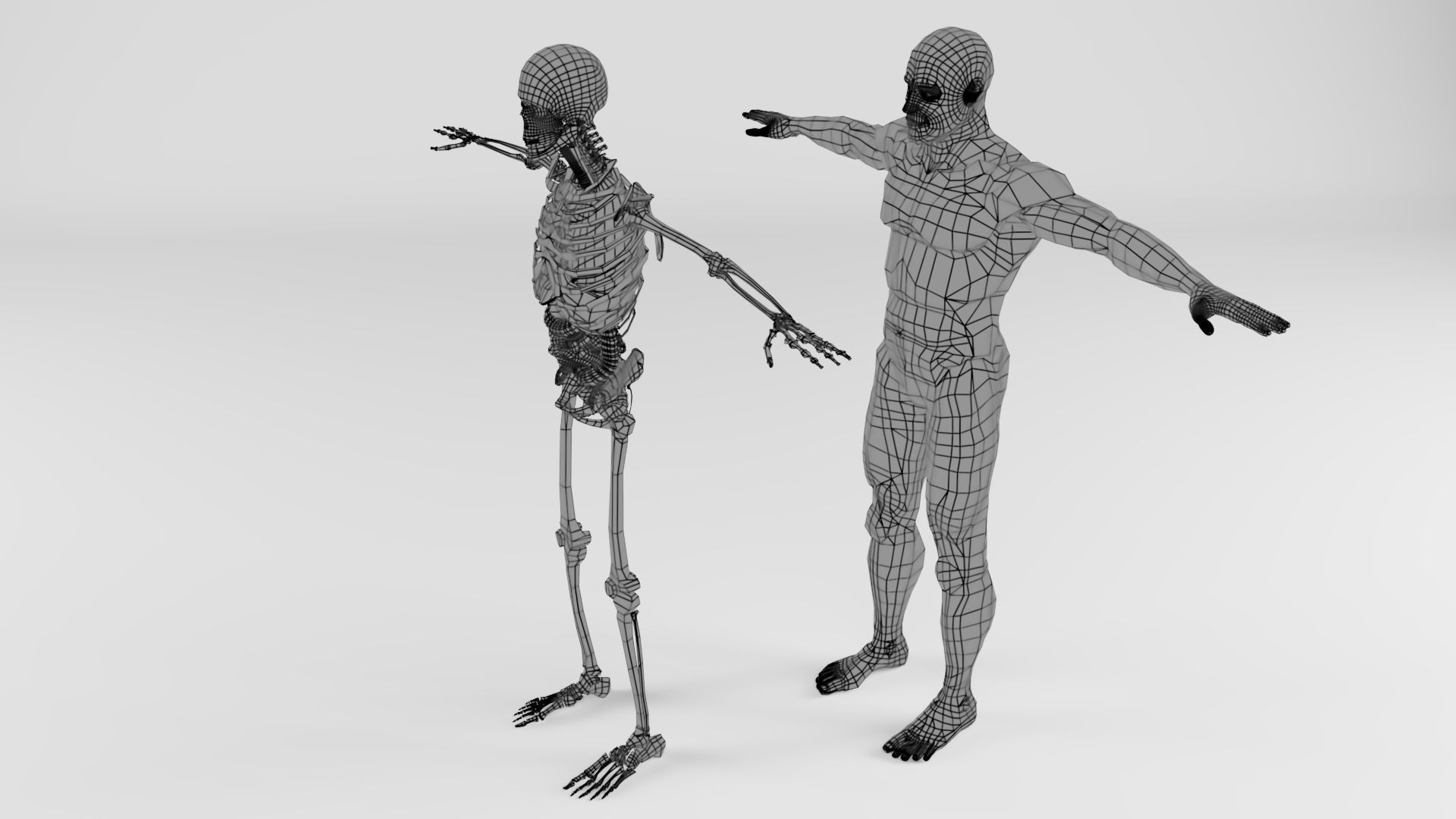  Human Respiratory System 3D model_7