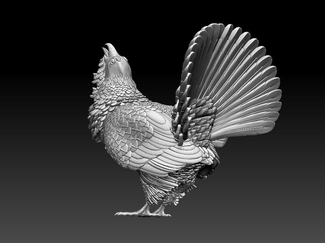 capercaillie rooster 3D print model_4