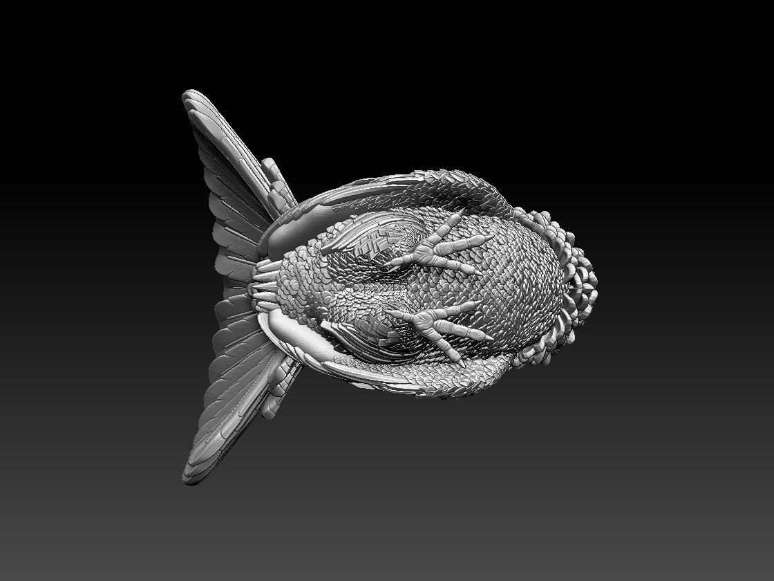 capercaillie rooster 3D print model_8