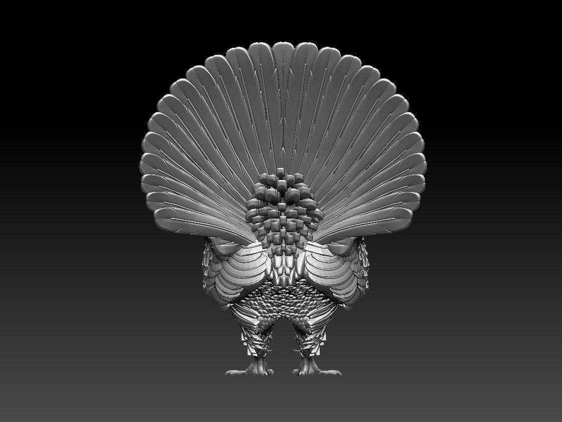 capercaillie rooster 3D print model_9