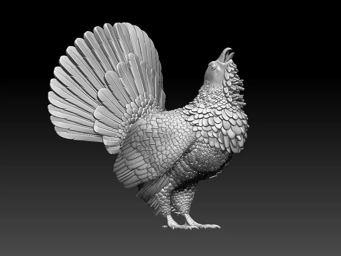 capercaillie rooster 3D print model_0