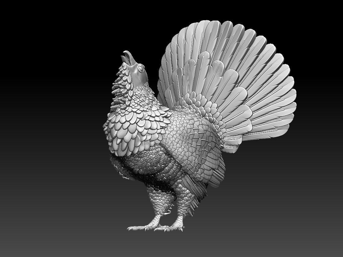 capercaillie rooster 3D print model_1