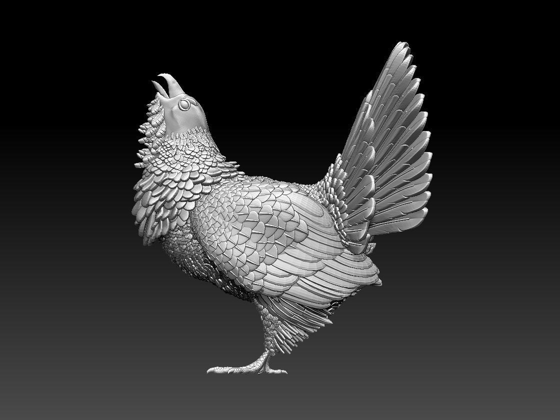 capercaillie rooster 3D print model_2