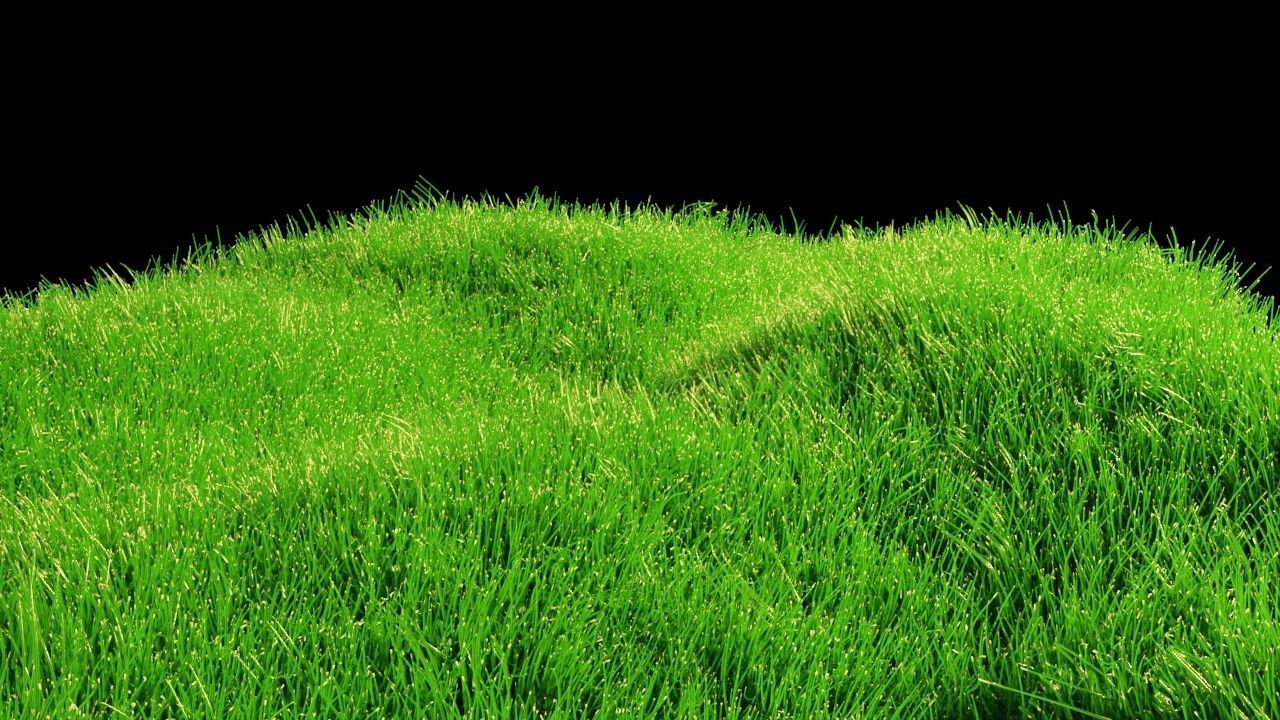 3D model Blender Realistic Grass With Particle System VR / AR / low