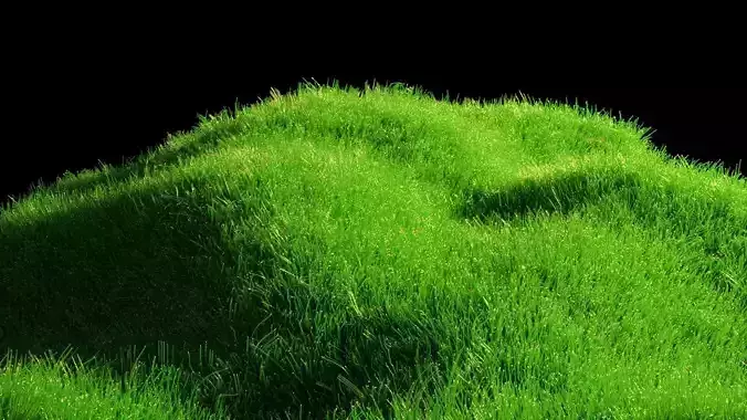 Blender Realistic Grass With Particle System Low-poly 3D model