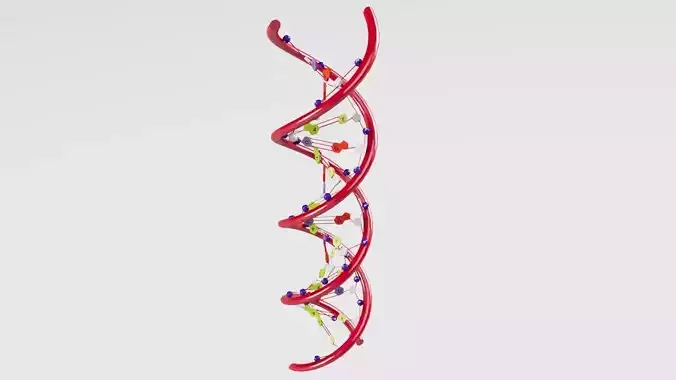 3D DNA model spiral