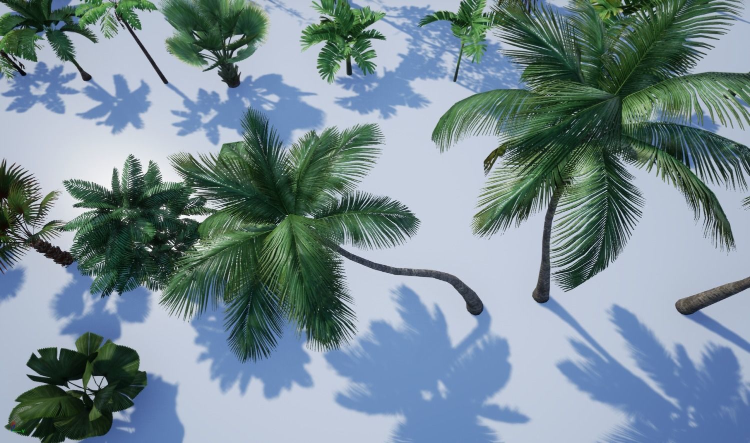 tropical forest pack for game ready Low-poly 3D model_14